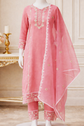 Thread Work With Organza Dupatta